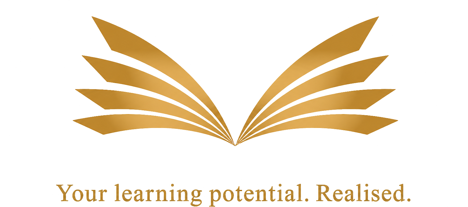 Learning Dynamics Academy